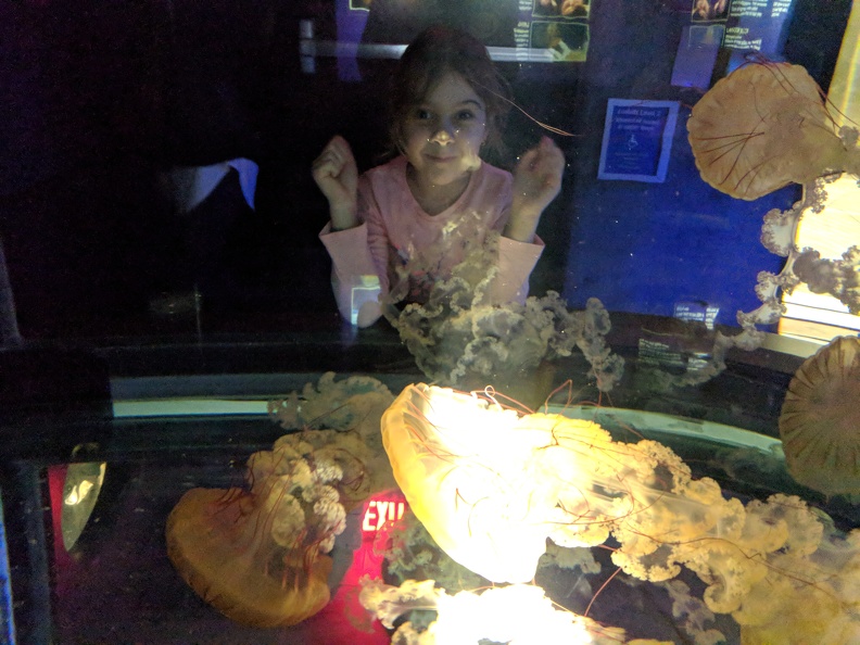 IMG 20180128 171048