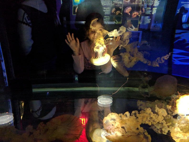 IMG 20180128 171107