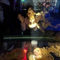 IMG 20180128 171107