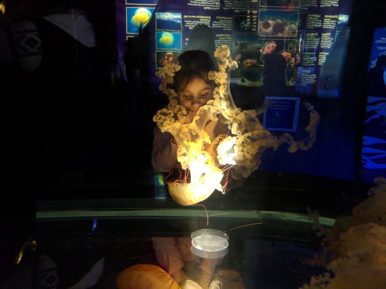 IMG 20180128 171114