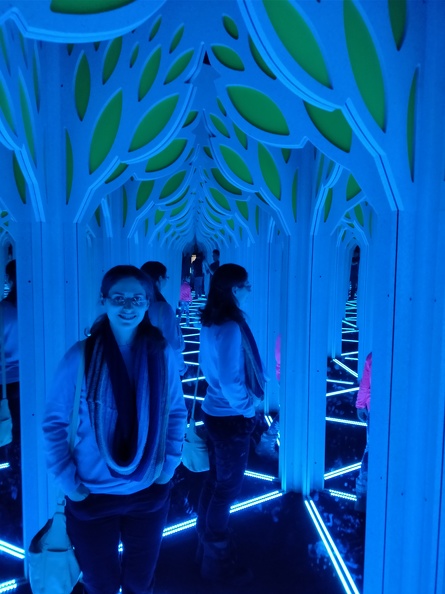IMG 20180203 124632