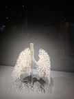 IMG 20180203 133315