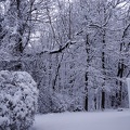IMG 20180218 064525