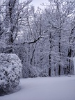 IMG 20180218 064525