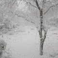 IMG_20180313_092629.jpg