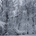 IMG 20180313 111038