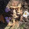 IMG 20180331 154830