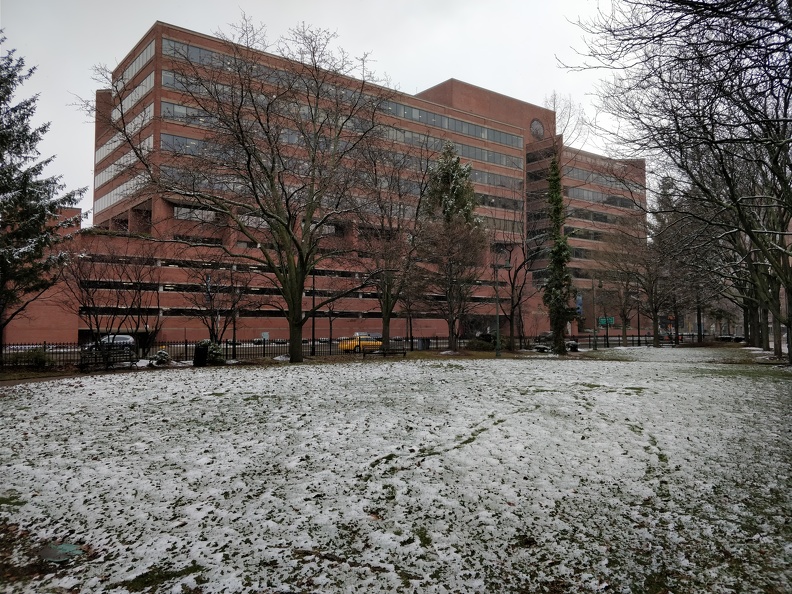 Snow in Cambridge