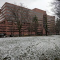 Snow in Cambridge