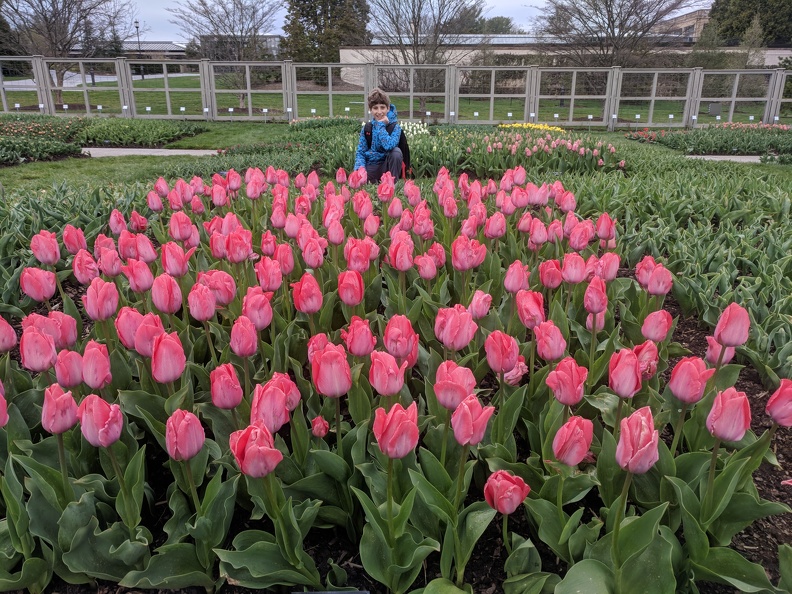 IMG 20180419 111033