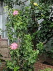 IMG 20180419 145843