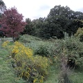 IMG 20180919 183519