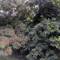 IMG 20180919 184530