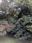 IMG 20180919 184530