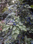 IMG 20180919 184603