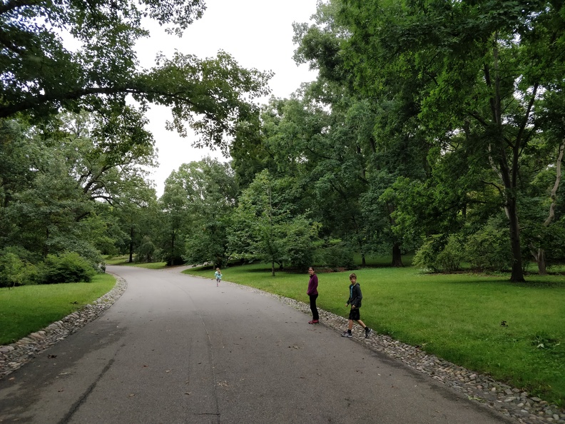 IMG_20180919_175818.jpg