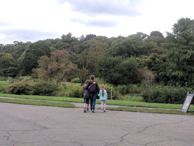 IMG_20180919_182720.jpg