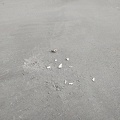 IMG 20180922 161804
