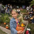 Pumpkin Painting