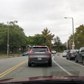 Geese Crossing
