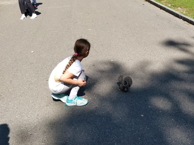 IMG 20180929 121623