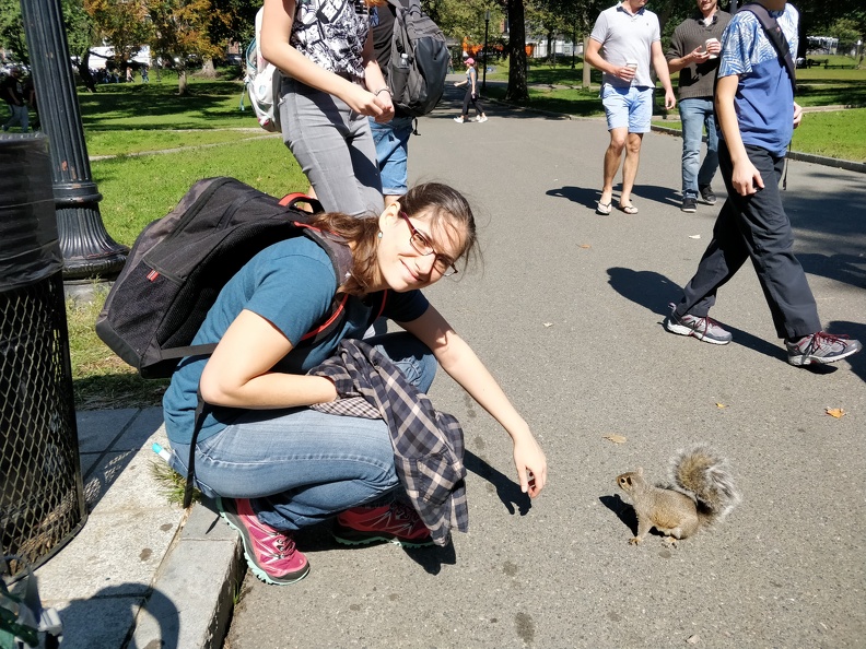 IMG 20180929 122053