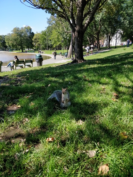 IMG 20180929 122319