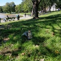 IMG 20180929 122319