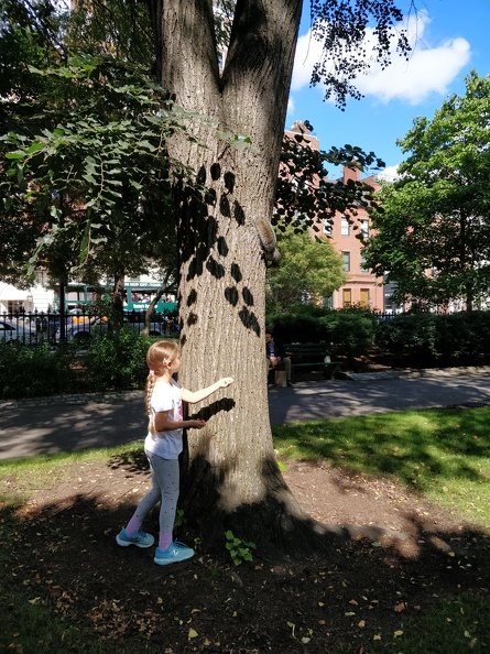 IMG 20180929 131102