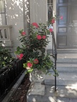 IMG 20180929 131538