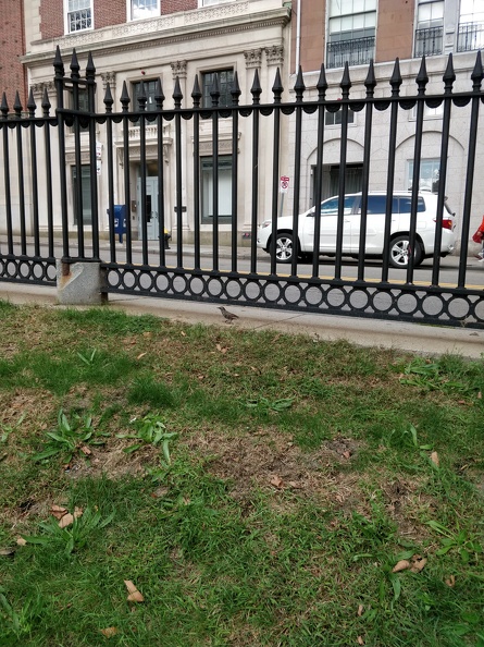 IMG 20180929 153646