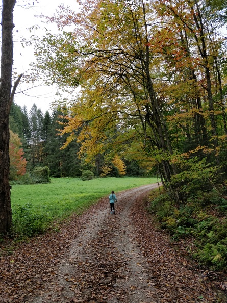 IMG 20181006 102235