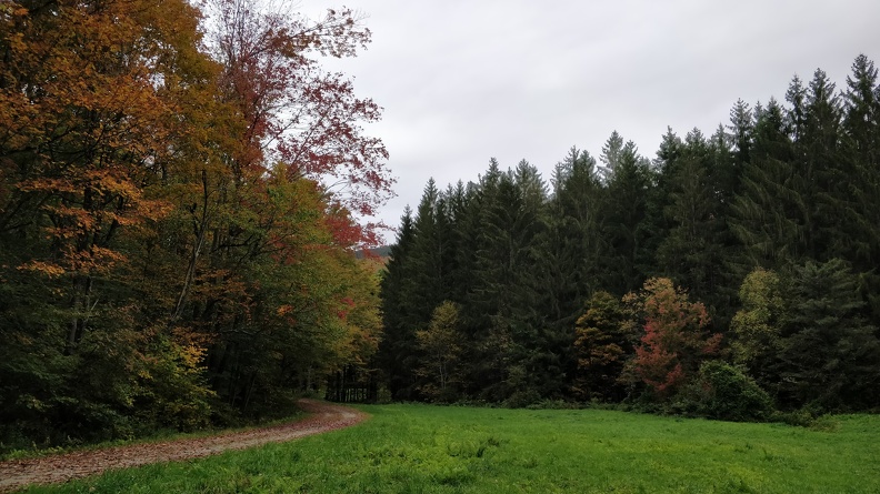IMG 20181006 101539