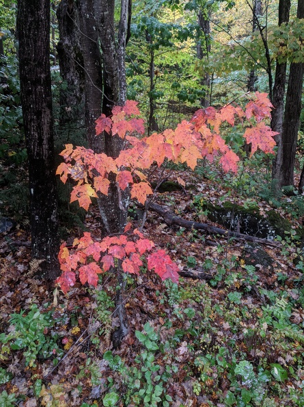 IMG 20181007 122144