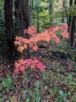 IMG 20181007 122144