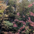 IMG 20181007 122612