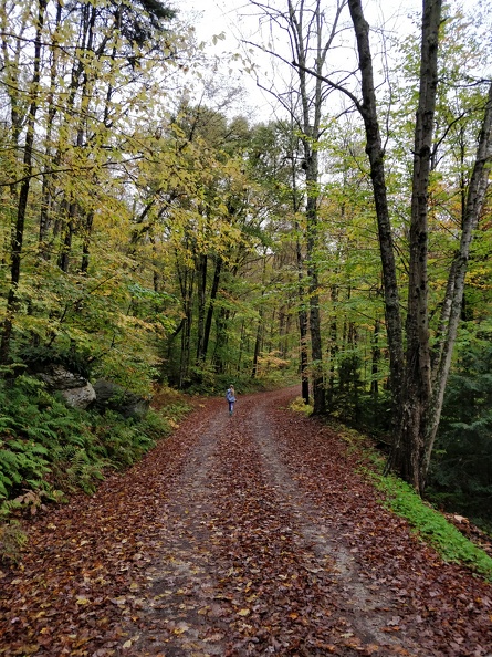 IMG 20181007 111428