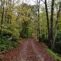 IMG 20181007 111428