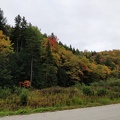 IMG 20181007 114529
