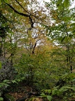 IMG 20181006 111201