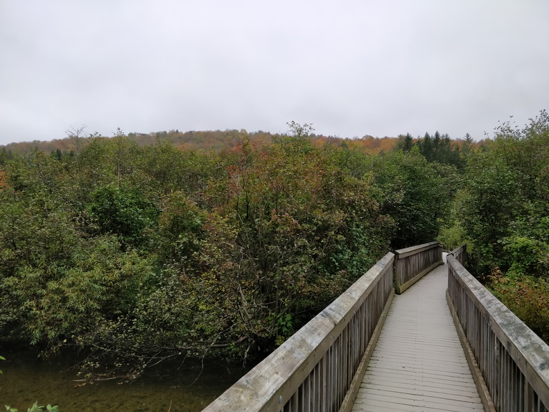 IMG 20181007 145558