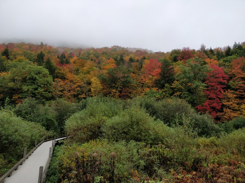 IMG 20181007 145821