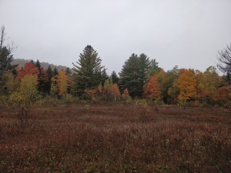 IMG 20181008 121437