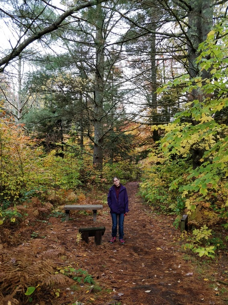 IMG 20181008 121744