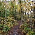 IMG 20181008 121945