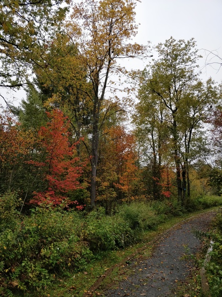 IMG 20181008 122550