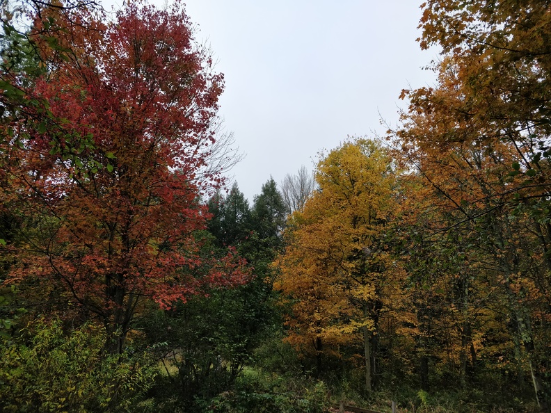 IMG 20181008 114725