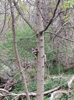 IMG 20180503 185417