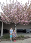 IMG 20180505 181455