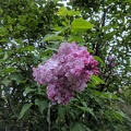IMG 20180513 130315
